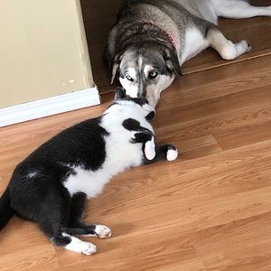 Meet your Posher, Angela